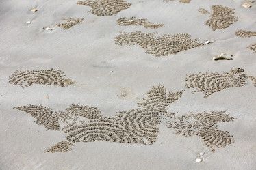 Similar image 21705730