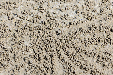 Similar image 21705732