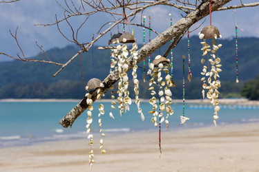 Similar image 21705733