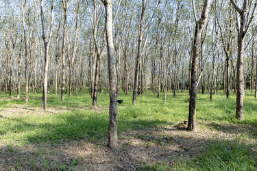 Similar image 21705735