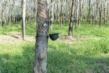 Similar image 21705736