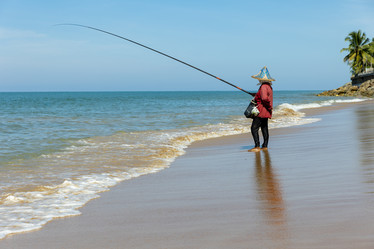 Similar image 21705738