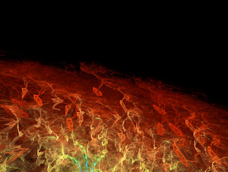 Similar image 21706324