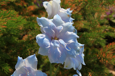 Similar image 21705628