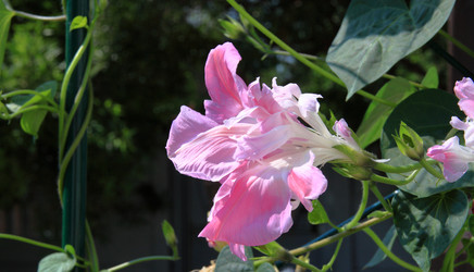 Similar image 21705629