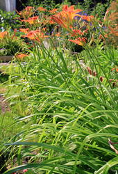 Similar image 21705630