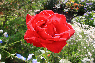 Similar image 21705632