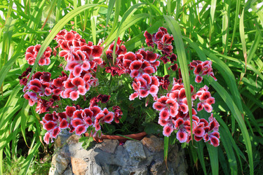 Similar image 21705633