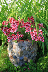 Similar image 21705634