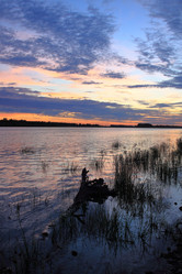 Similar image 21705636