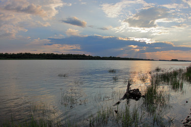 Similar image 21705638