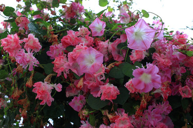 Similar image 21705639