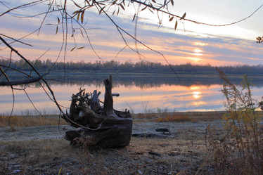 Similar image 21705642