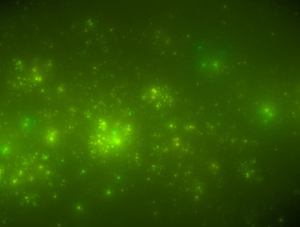 Similar image 21706037