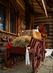 Similar image 21705442