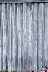 Similar image 21705469