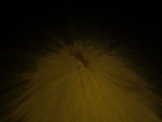 Similar image 21706346