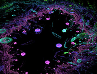 Similar image 21706063