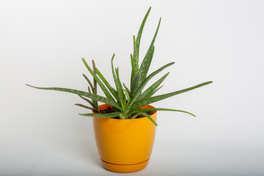 Similar image 21706436