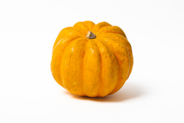 Similar image 21705477