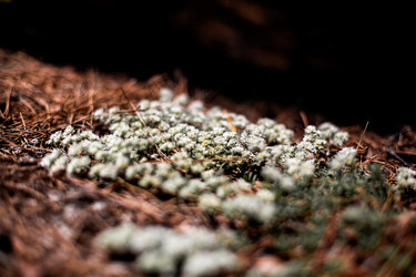 Similar image 21705479