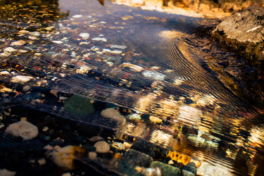 Similar image 21705480