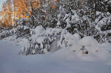 Similar image 21705490