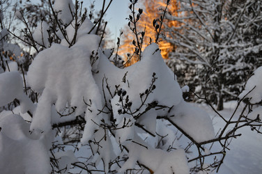 Similar image 21705491