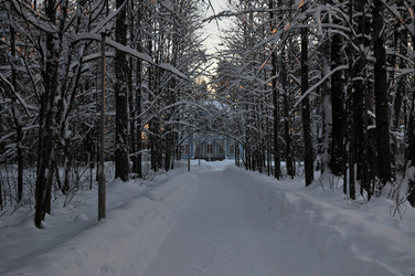 Similar image 21705492