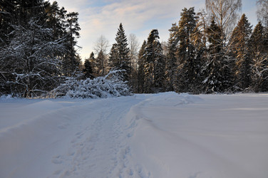 Similar image 21705493