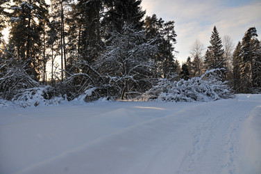 Similar image 21705494