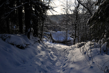 Similar image 21705496