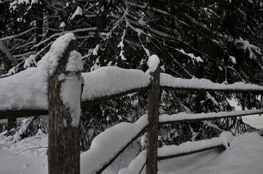 Similar image 21705501