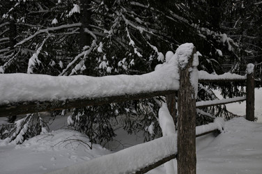 Similar image 21705502