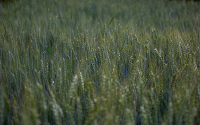 Similar image 21705504