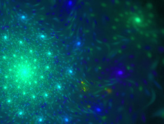 Similar image 21706092