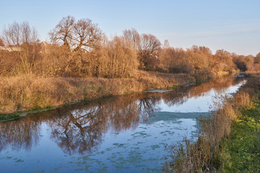 Similar image 21705669