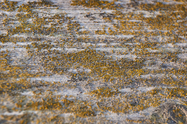 Similar image 21705675