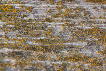 Similar image 21705676