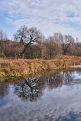 Similar image 21705677