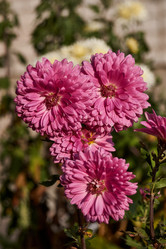 Similar image 21705678