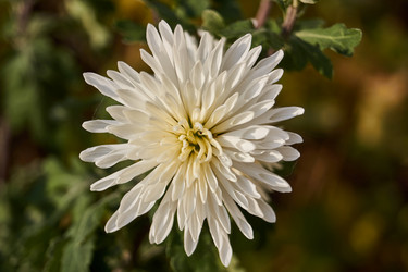 Similar image 21705679