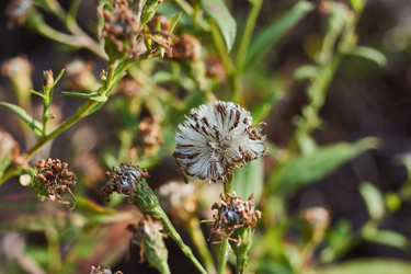 Similar image 21705681