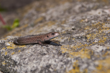 Similar image 21705683