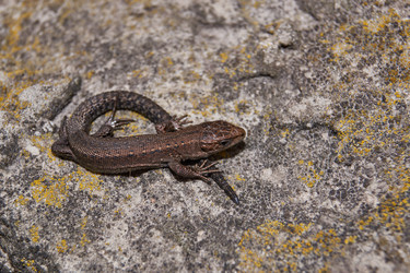 Similar image 21705685