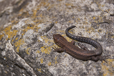 Similar image 21705686