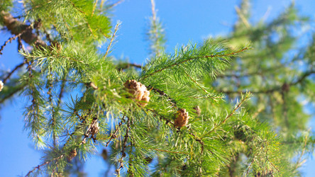 Similar image 21705920