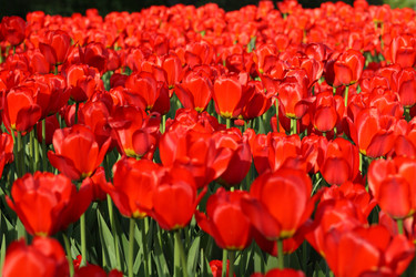 Similar image 21705924