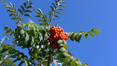 Similar image 21705937