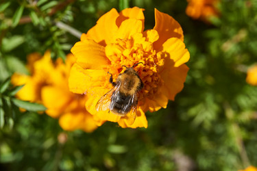 Similar image 21705694